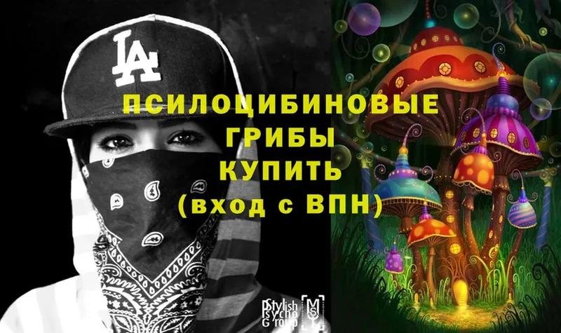 Псилоцибиновые грибы MAGIC MUSHROOMS  Муром 